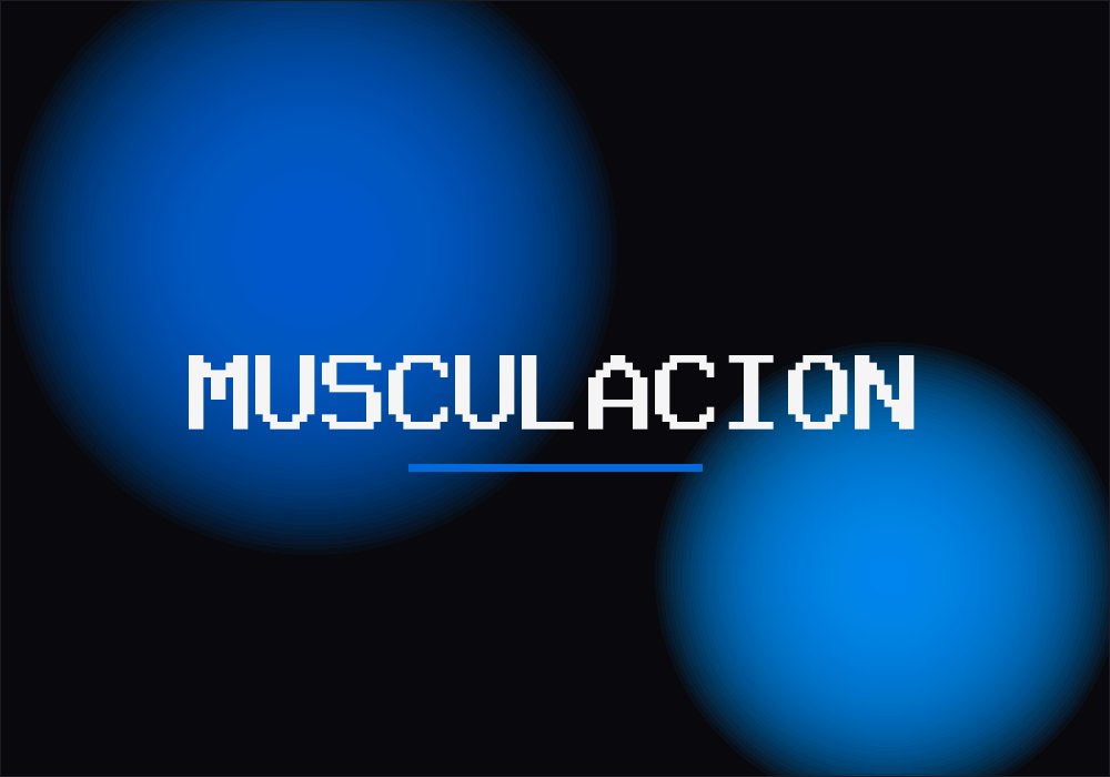Musculación